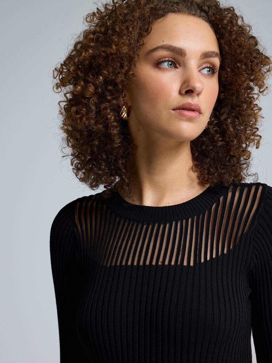 Sheer Yoke Flared Mini Dress